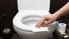 Many people don’t know why you shouldn’t wipe a toilet seat with toilet paper.