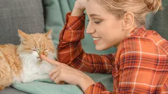 Not Madness but Therapy: Why Psychologists Recommend Talking to Cats