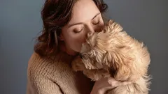 Dog breeds that barely smell are the perfect choice for a fresh, clean home.