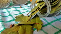 Why Put a Bay Leaf Under the Refrigerator in the Kitchen? Only a Few Know the Answer.