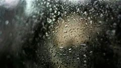 How to Get Rid of Window Condensation in Winter: An Effective Method